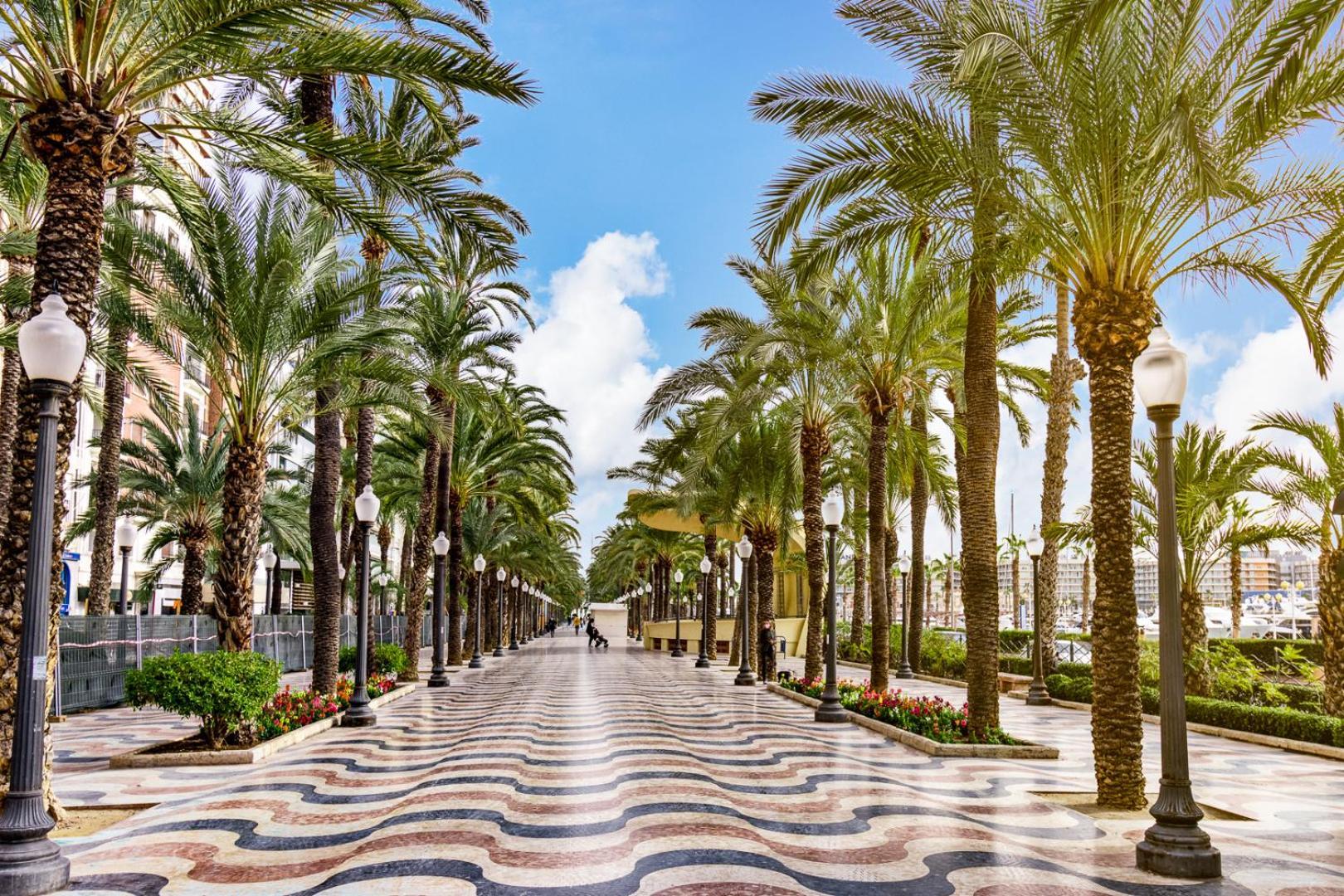 Hb Apartments - Mercado Central - Rambla Alicante - La Suite De La Playa מראה חיצוני תמונה