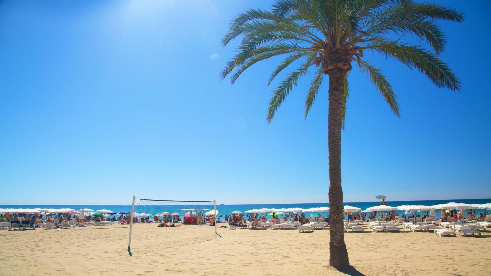 Hb Apartments - Mercado Central - Rambla Alicante - La Suite De La Playa מראה חיצוני תמונה